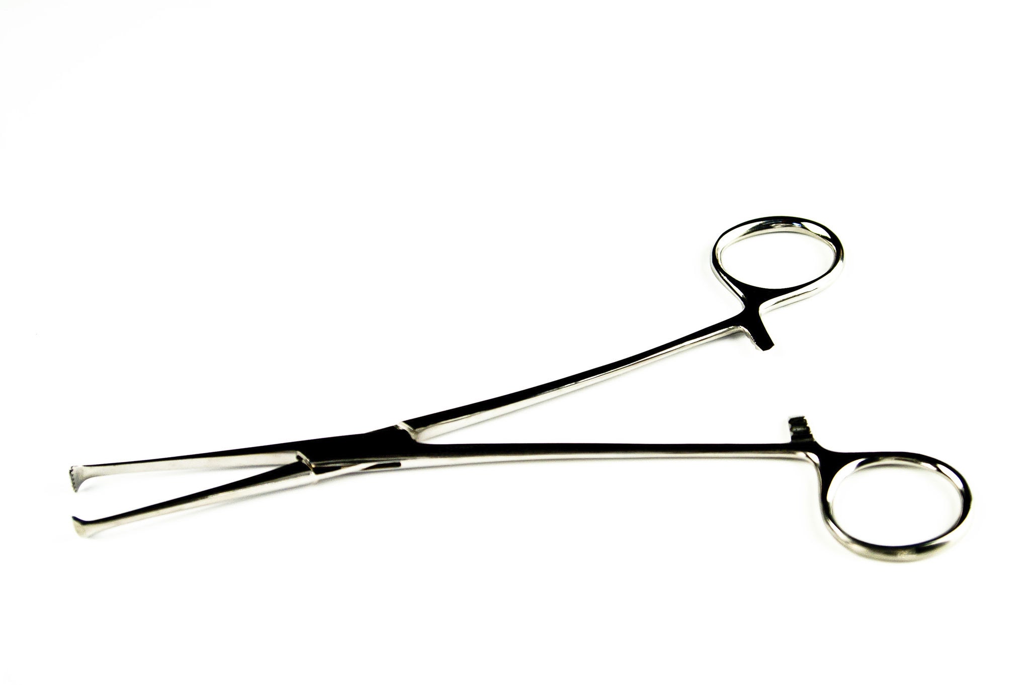 Allis Clamp